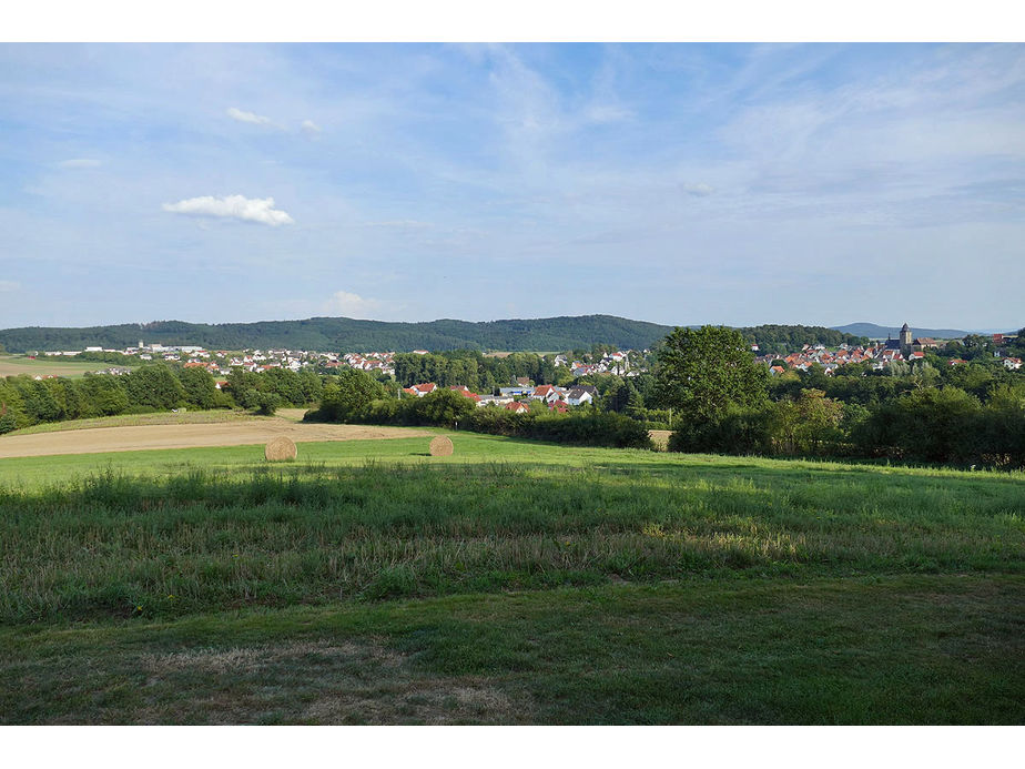 Naumburger Jugendfeuerwehr hilft an der Weingartenkapelle (Foto: Karl-Franz Thiede)